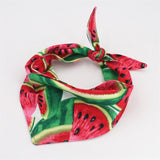 Summer Dog Bandana Set