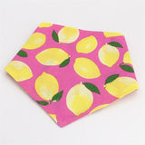 Summer Dog Bandana Set