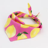 Summer Dog Bandana Set