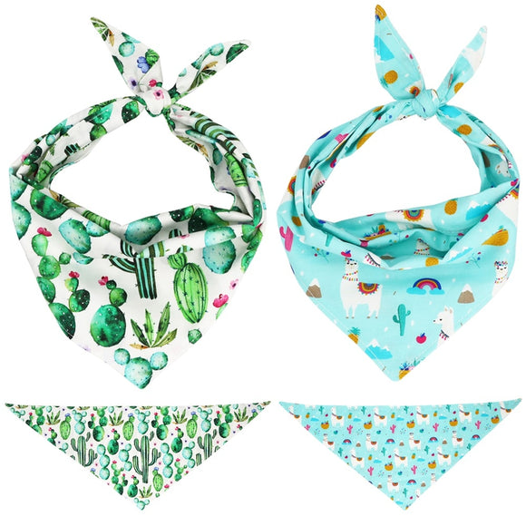 Cactus Dog Bandana