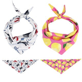 Summer Dog Bandana Set