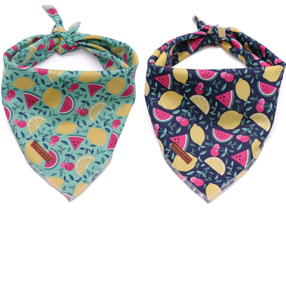 Fruit Dog Bandana