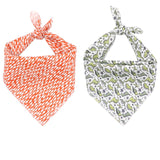 Unique Dinosaur Dog Bandana