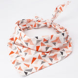 Triangle Dog Bandana
