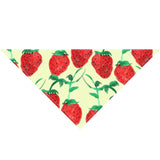 Summer Dog Bandana