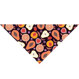 Summer Dog Bandana