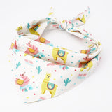 Triangle Dog Bandana