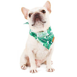 Tropical Dog Bandana